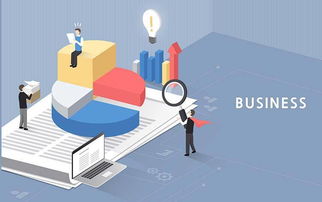 网络文化经营中的数据分析 灵活运用网络营销工具的智慧之道